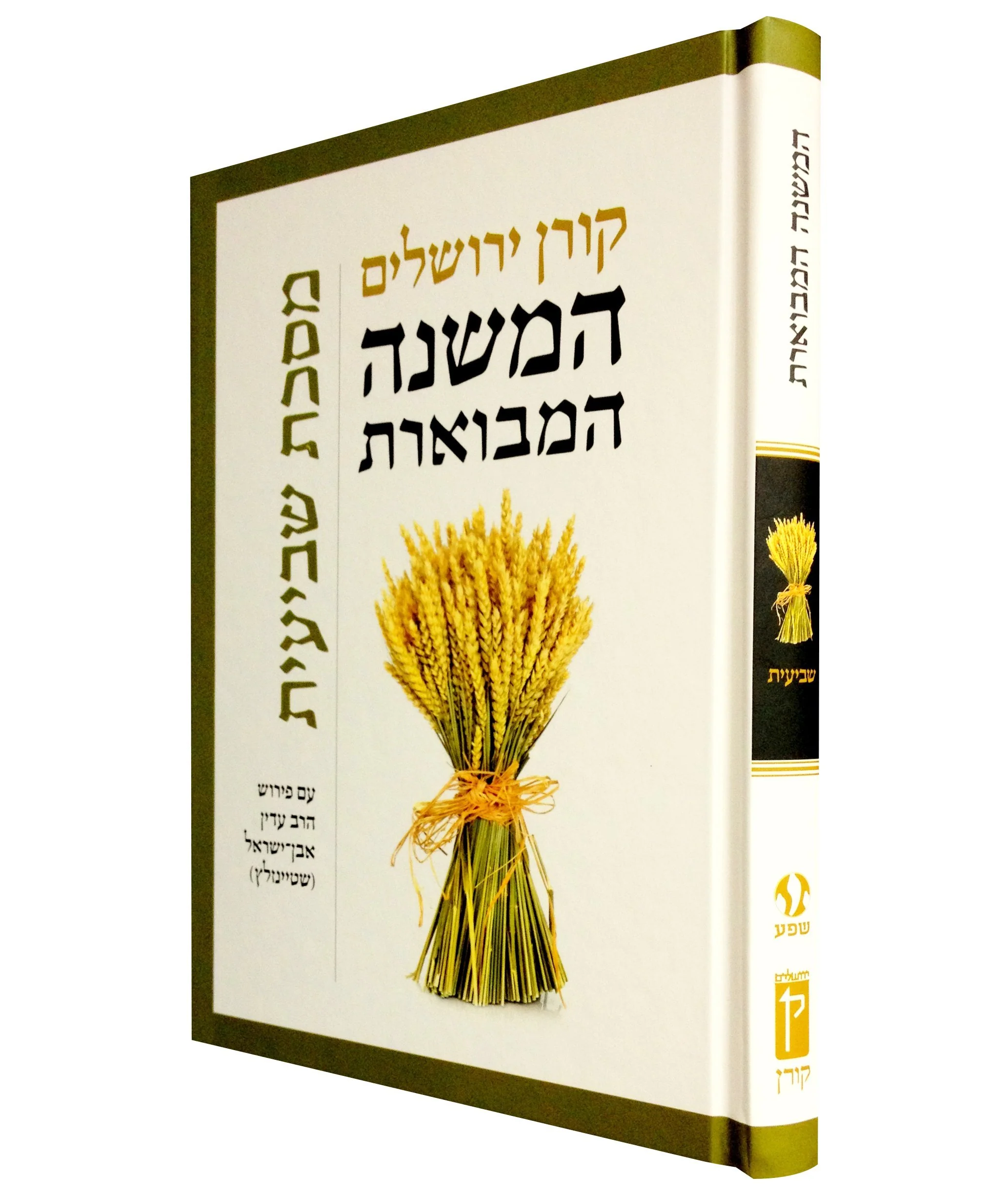 תמונה ממוזערת 1