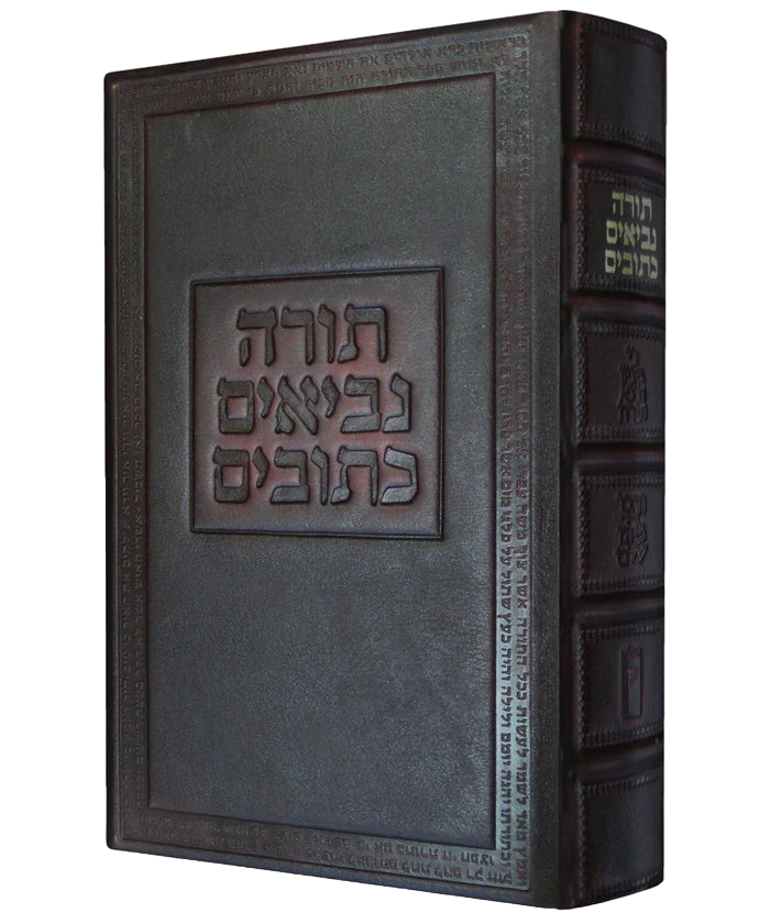 תמונה ממוזערת 1